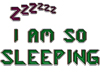 [] Sleeping