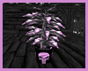 Purple EMO Skull Plant