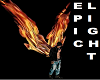Wings FIRE DJ LIGHT