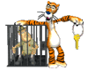 Tiger Zookeeper in Cage