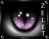 |LZ|Cat Violet Eyes