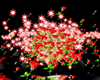 Particles Trig: LOVZ