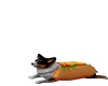{LS} HotDOG