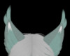 Yuffie Ears/SP