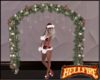 Luxury Garland Arch