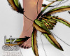 Harpy Feathers Feets