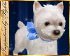 I~Westie-Hold*Blue Bow