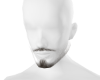 Asriel beard |pirate