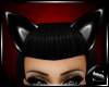!S! Bad Kitty! - ears.