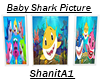 Baby Shark Picture