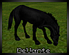 !D Black Horse