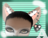 Pudding Ears ❥