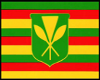 (BD)Hawaiian flag1