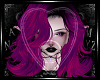 Hex Daisy in Nova