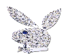 Animated Diamond Bunny