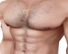 CHEST SCALER