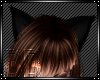 [BB]Black Kitty Ears