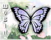 🐀 Butterfly B. Lilac