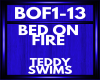 teddy swims BOF1-13