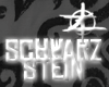 [Z] Schwarz Stein Poses