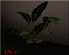 (AV) Plant Decor