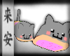 Nyan Cat Slippers v1~M