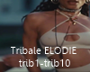 TRIBALE ELODIE+dance