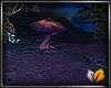 (ED1)Mysterious forest