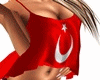 albayrak