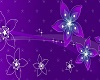 purple flowers