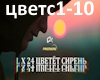 Lx24-cvetet siren