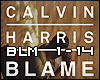 (C) Blame