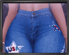 4th of July Baggie Jeans