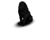 Black Lion Statue