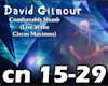 Comfortably Numb 2/2