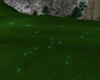 tx6 green fireflies