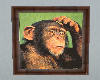Monkey frame