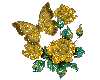 butterfly and gold roses