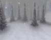 *WINTER*  FOREST