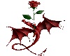 Red rose dragon