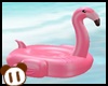 *Y* Flamingo Float