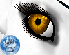 [S]Dark Golden Eye {F}