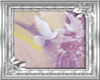 (20D) Doves in frame