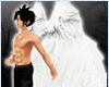 Angel Wings Animated