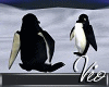 [V] Penguins Animated