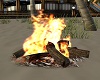 Paradise Log Fire