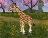 Baby Giraffe/tiggers FV