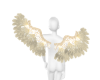DT| Angel wings