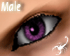 38RB Violet Eyes - M