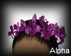 AO~Purple Head add